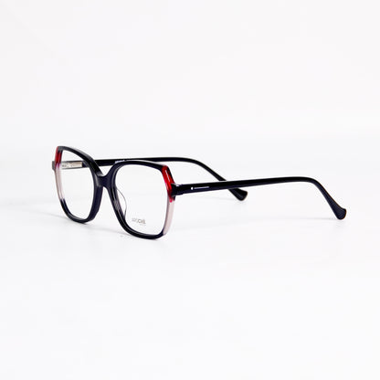 ARSCHE-AO209/C1
