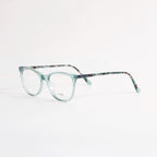 ARSCHE-AO231/C4