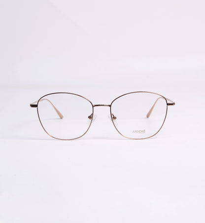 ARSCHE-AO199/C2