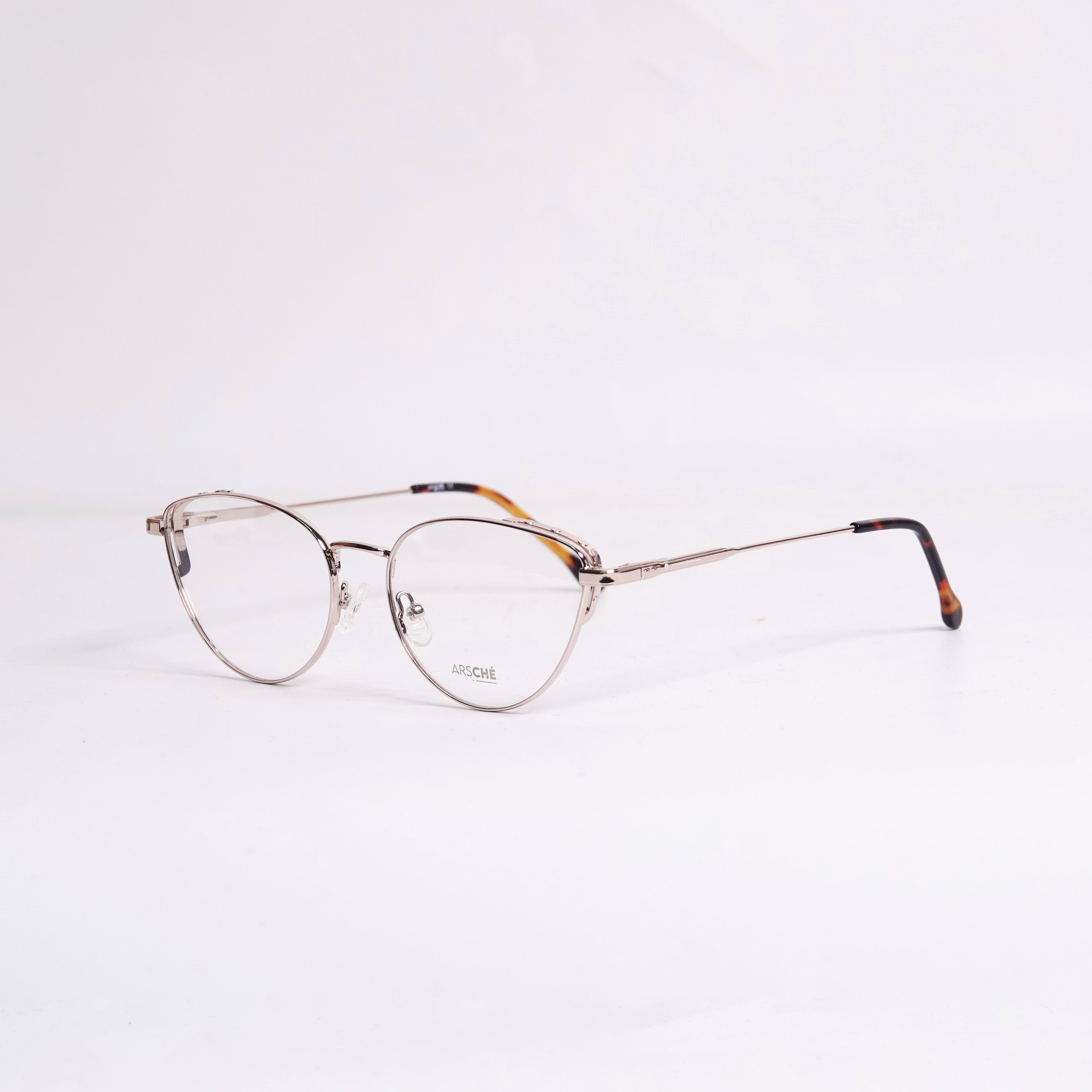 ARSCHE-AO193/C2