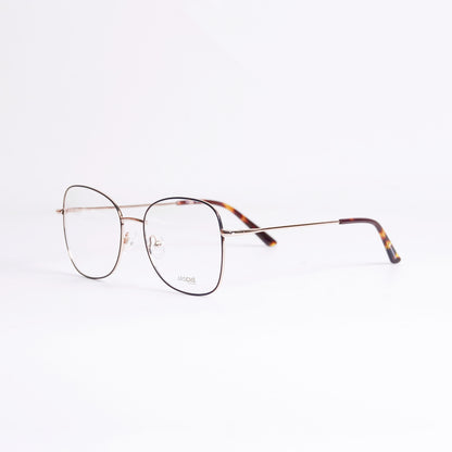 ARSCHE-AO166/C4
