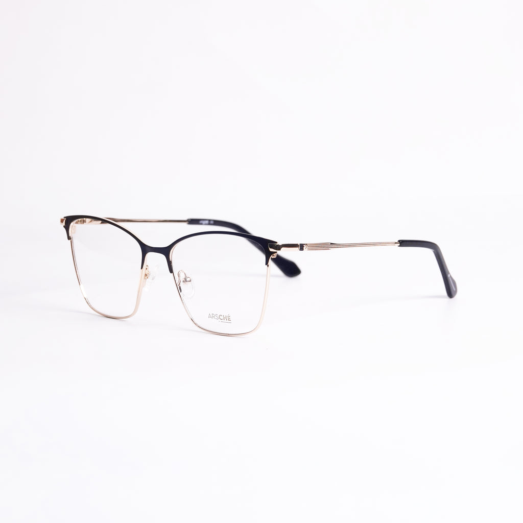 ARSCHE-AO179/C1