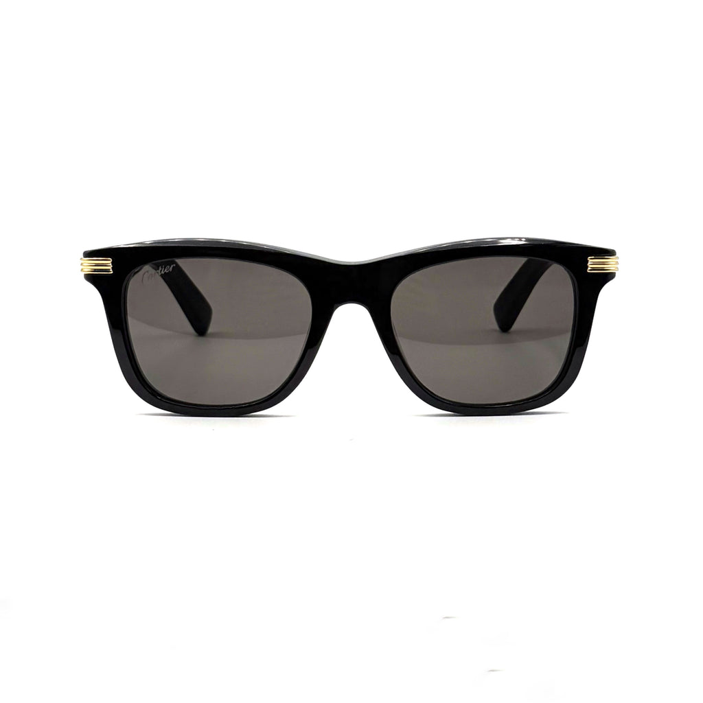 Cartier-ct0396S 001 XL