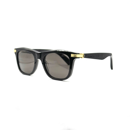 Cartier-ct0396S 001 XL