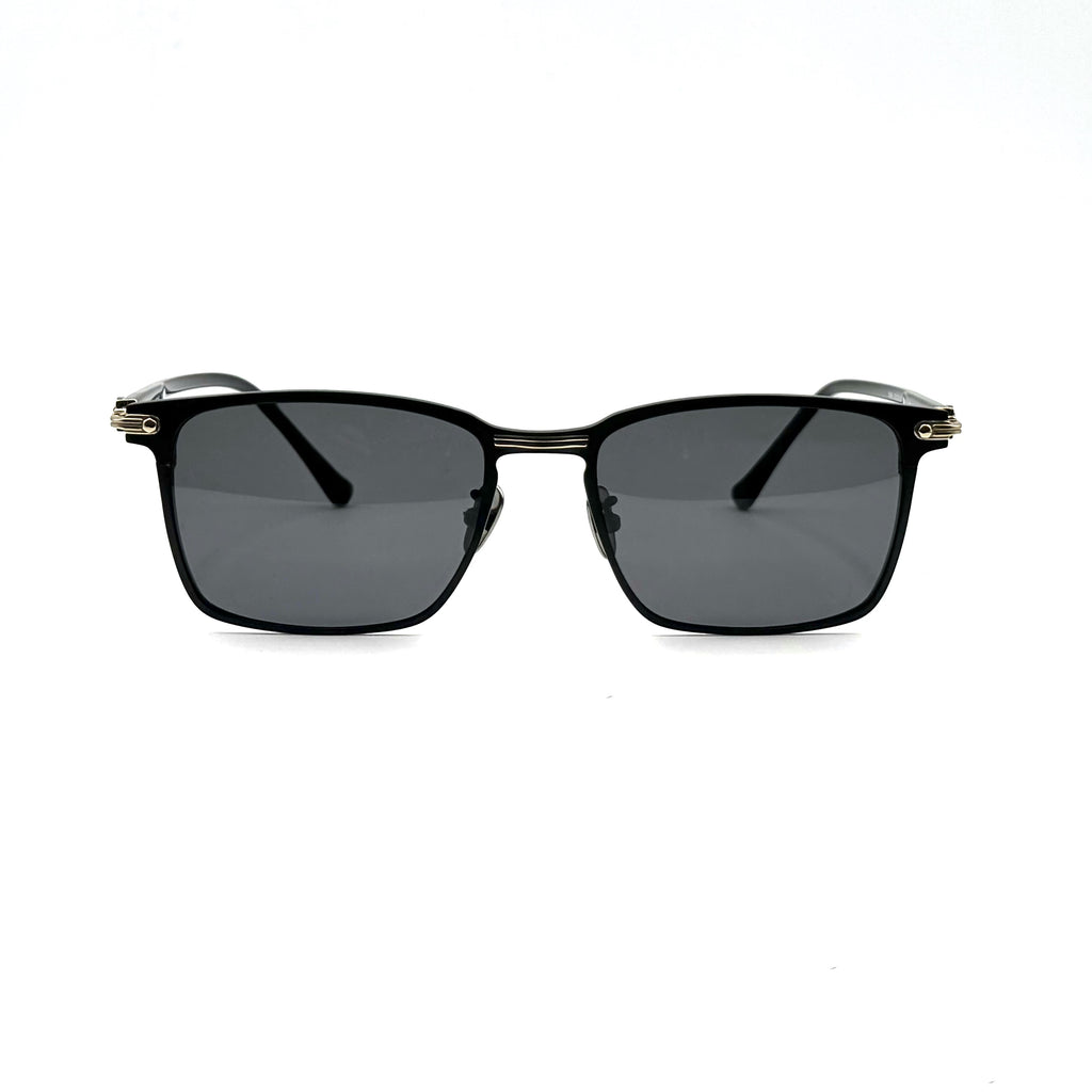 SENS-SS133/C3