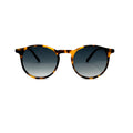 SENS-SS130/C4